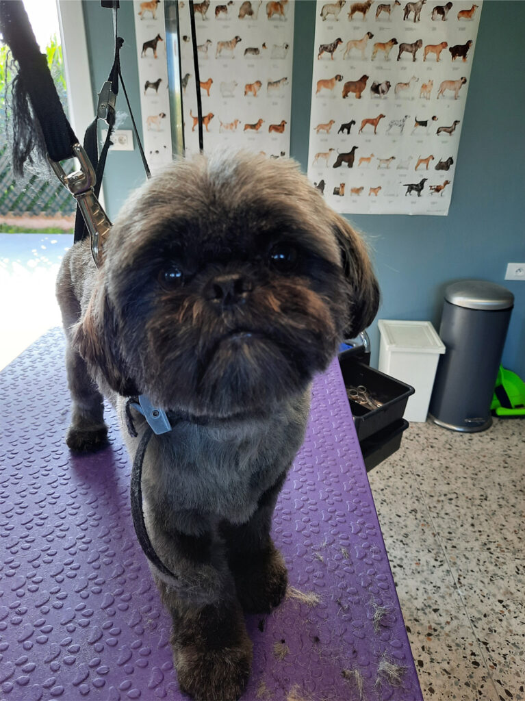 Hondentrimsalon Bonney